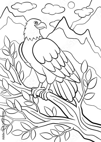 680 Wild Bird Coloring Pages , Free HD Download