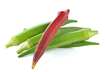 Okra red okra on white background