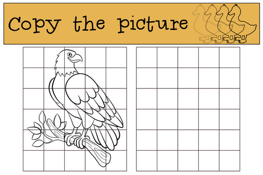 Children games: Copy the picture. Cute bald eagle sits on the tree branch