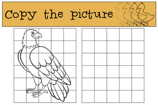 Children games: Copy the picture. Cute bald eagle smiles.