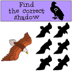 Fototapeta premium Children games: Find the correct shadow. Cute bald flying eagle.