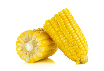 Corn isolated on a white background
