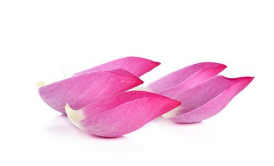 Closeup on lotus petal on white background