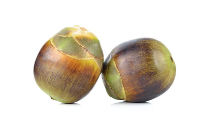 Asian Palmyra palm, Toddy palm, Sugar palm isolated on white bac