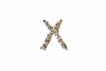 The letter "X" made from seashells