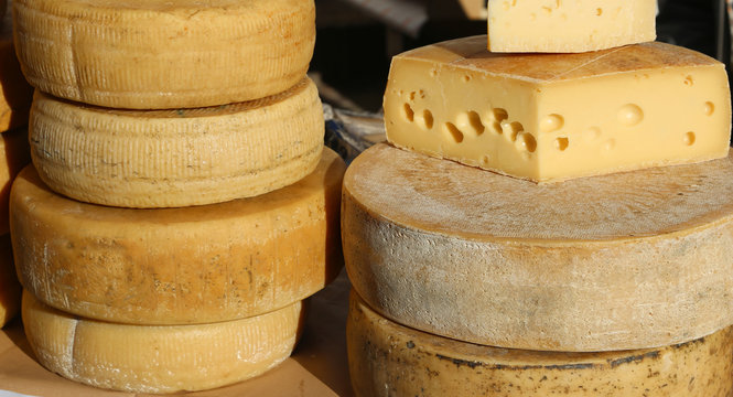 Many cheeses and aged cheeses on sale in the food market