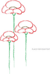 Vector design with red poppy flowers and place for your text isolated on white background