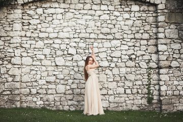 Beautiful girl, model with long hair posing in park near great wall. Krakow Vavel