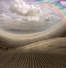 Fototapety na wymiar - Fototapeta24.pl