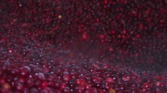 Frozen red cranberries