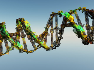 Damaged DNA Strands