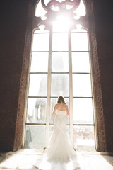 Elegant beautiful wedding bride posing near great window arch
