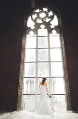 Elegant beautiful wedding bride posing near great window arch
