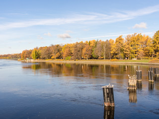 river and park