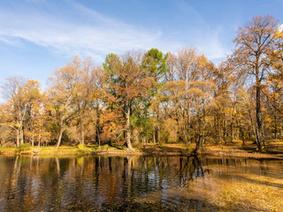 landscape in the autumn park