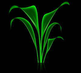 Branch leaves on black background .