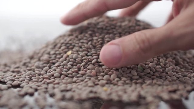 A pile of lentil on a reflecting surface and a man hand