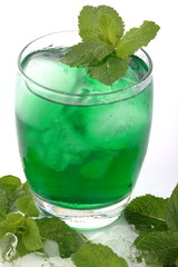 Menta fredda