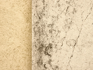 background (185)