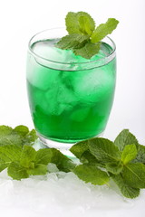 Menta fredda
