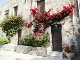 traditional street among bougainvillaea in Greece
