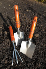 Garden major and minor hand trowels and a flower rake in the loosen soil in the garden