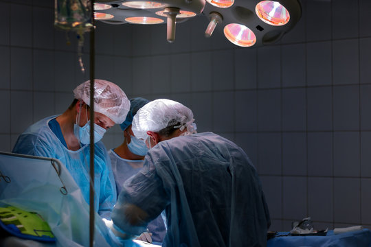 phlebectomy operation