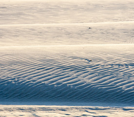 beautiful view of the coastal dunes