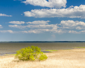 Beautiful view of the lake Łebsko