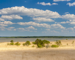 Fototapeta na wymiar Beautiful view of the lake Łebsko