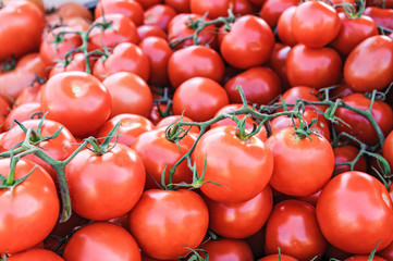 red tomatoes - vegetable market