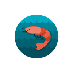 Shrimp icon. Prawn vector. Summer. Vacation