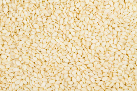 Close up white sesame healthy grain top view