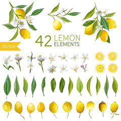Vintage Lemons, Flowers and Leaves. Lemon Bouquetes. Watercolor - 113746310