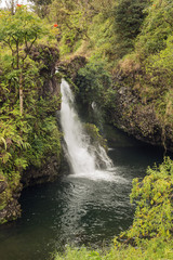 Fototapeta na wymiar Idyllic waterfall in the tropical forest on the road to Hana..