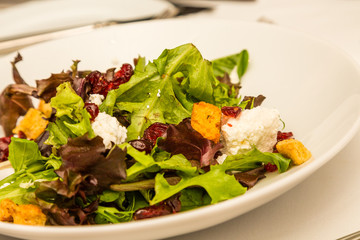 Gourmet Salad with Goat Cheese and Croutons