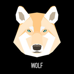 Wolf cartoon portrait painted in imaginary colors