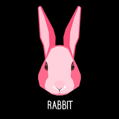 Abstract rabbit cartoon portrait painted in imaginary colors