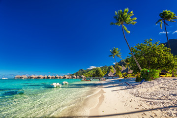 Tropical resort with sandy beach and palm trees on Moorea - obrazy, fototapety, plakaty