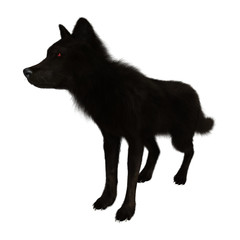 3D Rendering Black Wolf on White