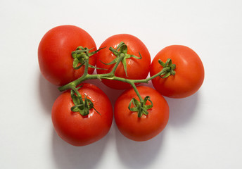 Fresh red tomatoes on a green branch on white background