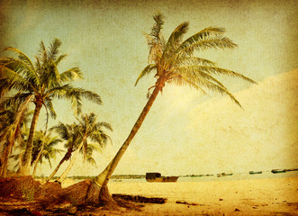 palm tree on old paper background