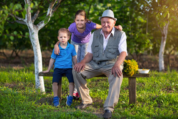 Fototapeta premium Grandfather with grandchildren sitting on a bench in the orchard