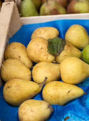 Ripe pears at a local farmers market