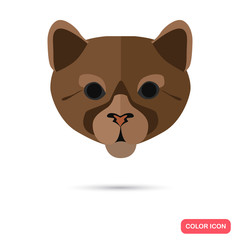 Fototapeta premium Cougar color flat icon