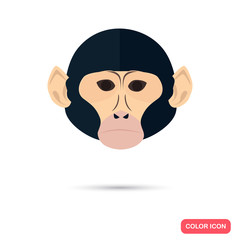 Chimpanzee color flat icon