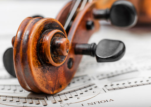 Violine