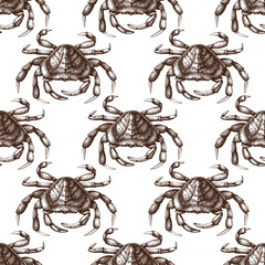Vector crab background. Seamless sea life pattern. Hand drawn crab sketch. Vintage seafood illustration. Isolated on white