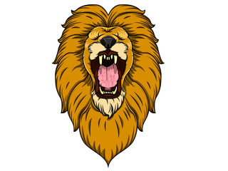 wild lion head
