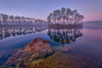 Obraz premium Dawn at Long Pine Key Lake in Everglades National Park near Homestead, Florida